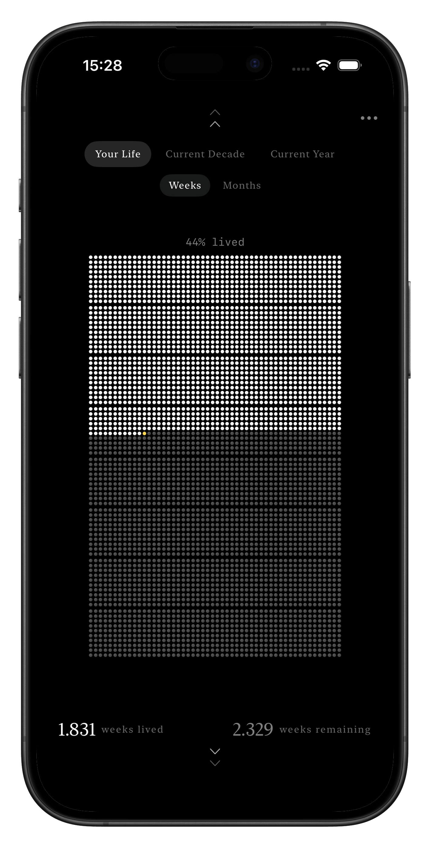 Finite Grid — life grid visualization